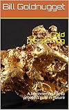 goldnuggets australien kaufen  Gold prospecting: A beginner’s guide to prospect gold in nature (English Edition)