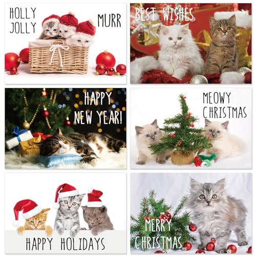 Cartes de vœux de Noël chat : kit complet avec enveloppes pour ne plus manquer de cartes en fêtes