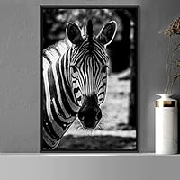 Framed Canvas Wall Art Duotone Zebra Animals Black and White Chic Duotone Expressive Grey Living Room Photography Zebra - 16x24 inches