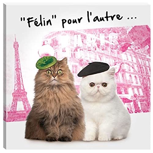 Cadre en toile trois Chatons