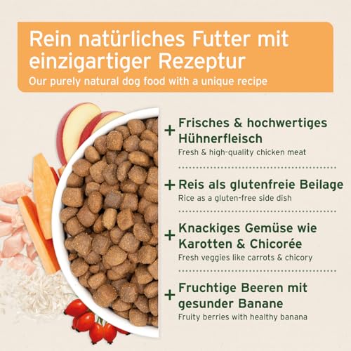 AniForte Natürliches Hunde-Futter Trockenfutter LandChicken 14kg, Zartes Huhn mit Reis, 100% Natur, Allergiker, Glutenfrei, Karotten & knackigem Chicorée, ohne künstliche Vitamine