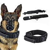 🐕‍🦺HEBILLAS METÁLICAS DOBLES: la hebilla metálica doble es ajustable, puede cambiar la longitud del collar según el tamaño del cuello de su perro, la etiqueta mágica y la hebilla metálica ofrecen doble seguridad para su perro mientras entrena, patrulla, camina y caza, no es fácil caerse apagado.