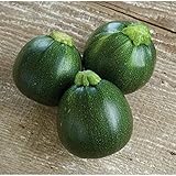 Eight Ball Squash Seeds (20+ Seeds) | Non GMO | Vegetable Fruit Herb Flower Seeds for Planting | Home Garden Greenhouse Pack