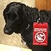 StoreSMART® - Service Dog Paper Holder with Lanyard - 2-Pack - R1596DOG-2