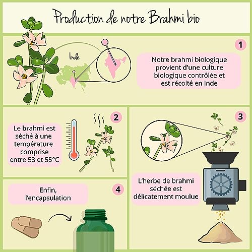 Bacopa Monnieri BIO contre la fatigue mentale et les oublis