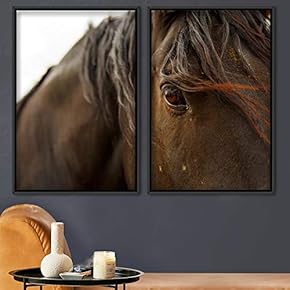 signwin 2 Piece Framed Canvas Wall Art Horse...