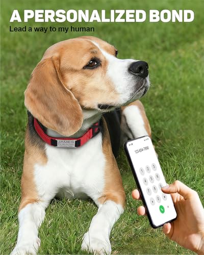 TagME Hundehalsband personalisiert, Reflektierendes gepolstertes Nylon Hundehalsband für mittelgroße Hunde mit Namen und Telefonnummer