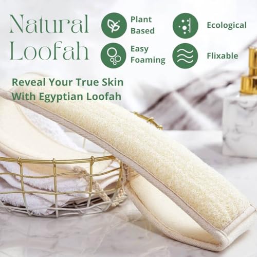 NileCart Back Loofah for Shower - Natural Loofah Back Scrubbers for Shower from Egyptian Loofah for Women & Men - Egyptian Loofah Sponge Back exfoliator. A Natural exfoliating Back Scrubber — view 2