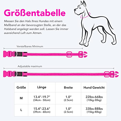 Leuchthalsband Hund, Colaseeme LED Hunde Leuchthalsband, Wasserdicht Hundehalsband Leuchtend, HundeleuchthalsbäNder Aufladbar für Pet Night Walking Safety, rosa M