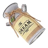 HANABASS 1 PC Rustique Chic Jardin Mixte Vintage Arrangement De Fleur Plantes Pays Petit Récipient Décoration Jardinières Pot Ménage Café Planteur Fête Couleur Minable Seau Floral