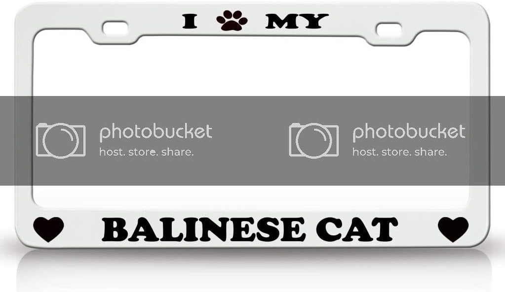 I PAW My Balinese Cat Pet Animal Metal Car SUV Truck License Plate Frame Pn c31