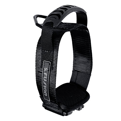 Classic Field Brass Bell | CFB1 | NEW Dokken's Dead Fowl Trainer by Dokken