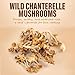 Chanterelle Mushrooms, 1.5oz pack of Dried Chanterelle Mushrooms, Perfect Dried Mushrooms for Culinary Creations and Specialty Recipes, Ideal for Enhancing Every Dish with Authentic Gourmet Taste