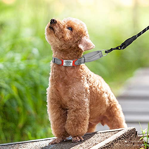 TagME 2er Pack Hundemarke/Hundemarke mit Gravur für Hunde und Katzen für Kleine und Mittelgroße Hunderassen, Personalisierbar, Rot, S