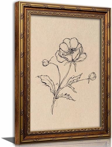 Kofeehic Vintage Gold Framed Flower Sketch Wall Art,Neutral Botanical Sketch Canvas Prints,Farmhouse Antique Floral Line Drawing Artwork Wall Decor for Guest Bedroom Living Room 9x11in
