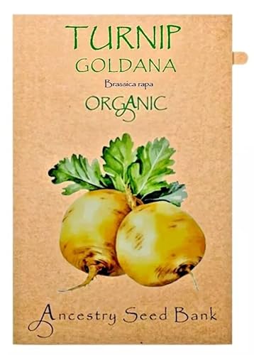 Organic Turnip ❁ Goldana ❁ x150 Seeds Heirloom - Non GMO