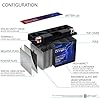 Mighty Max Battery YT7B-BS -12 Volt 6.5 AH, 110 CCA, Rechargeable Maintenance Free SLA AGM Motorcycle Battery (1 Pack) #2