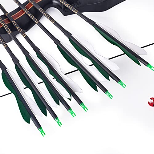 image for LWANO 30Inch Carbon Arrow Archery Hunting/Targeting Practice Arrows wi