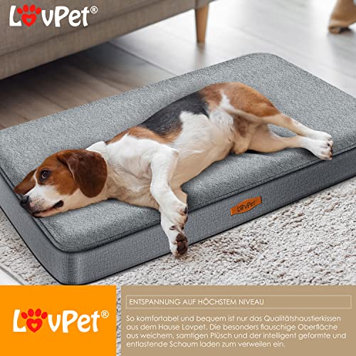 Lovpet® Hundebett orthopädisches Hundekissen Hundekorb Cookie, Inkl. Napf + 3X Kauknochen, Hundesofa für Kleine, Mittelgroße & Große Hunde, Bezug abnehmbar und waschbar, M 76x51x7,6 cm Anthrazit
