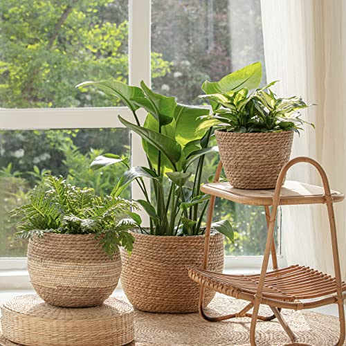 La Jolie Muse Natural Seagrass Large Planter, Plant Pots Cover, Indoor Planters Flower Pots, 13.5+12+9 Inch Pack 3 #TOP1