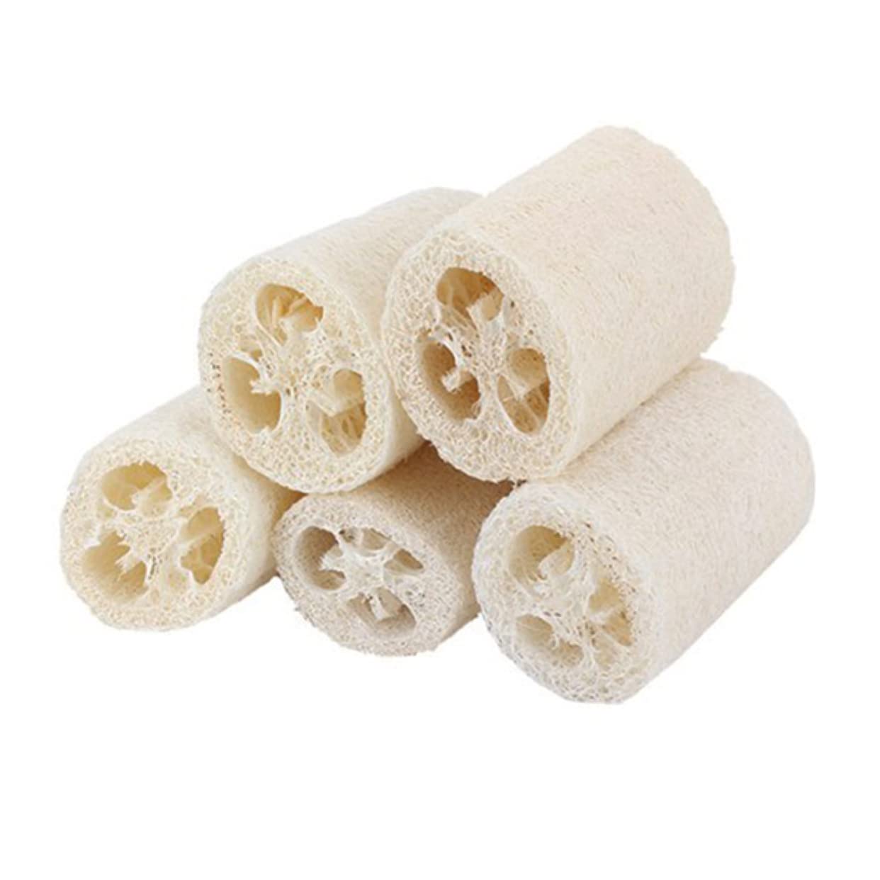 Beavorty 15stücke Natürliche Luffa Peeling-schwämme Für Körperpflege Zum Duschen Und Reinigen Fördert Die Blutzirkulation Und Sorgt Für Glatte Haut