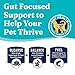 Solid Gold Dry Kitten Food - Made with Real Chicken and Sweet Potato - Touch of Heaven Grain Free Dry Cat Food for Kittens - Natural Support for Bone, Joint and Immune System Development