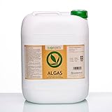 BIOFERTI ALGAS contiene nutrientes, enzimas, complejos proteicos hidrolizados y estimulantes del desarrollo vegetal (auxinas, giberelinas, citoquininas y betainas) por lo que se recomienda su uso ante cualquier situación de estrés abiótico (altas temperaturas, sequia prolongada, heladas, etc..) que puede tener la planta. Proporciona mayor calidad y rendimiento de la cosecha.