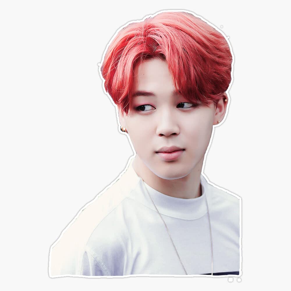 MAGNET Jimin Magnet Bumper Sticker Car Magnet Flexible Reuseable Magnetic Vinyl 5"