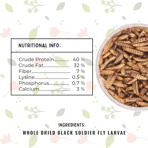 Image of Dried Black Soldier Fly Larvae Treat Fish Food (25 Gram) For Arowana Oscar, Flowerhorn & Other Carnivorous Fishes Omega 3 & 6, 50X More Calcium Than Worms, All Life Stages