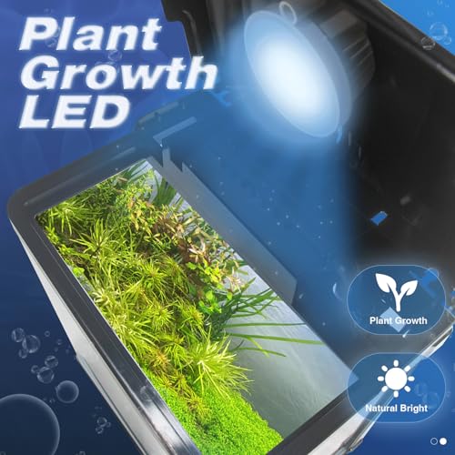 Tararium 2 Gallon Betta Fish Tank,Small Fish Tank With Filter And Led Plant Light And Filter System thumb #3