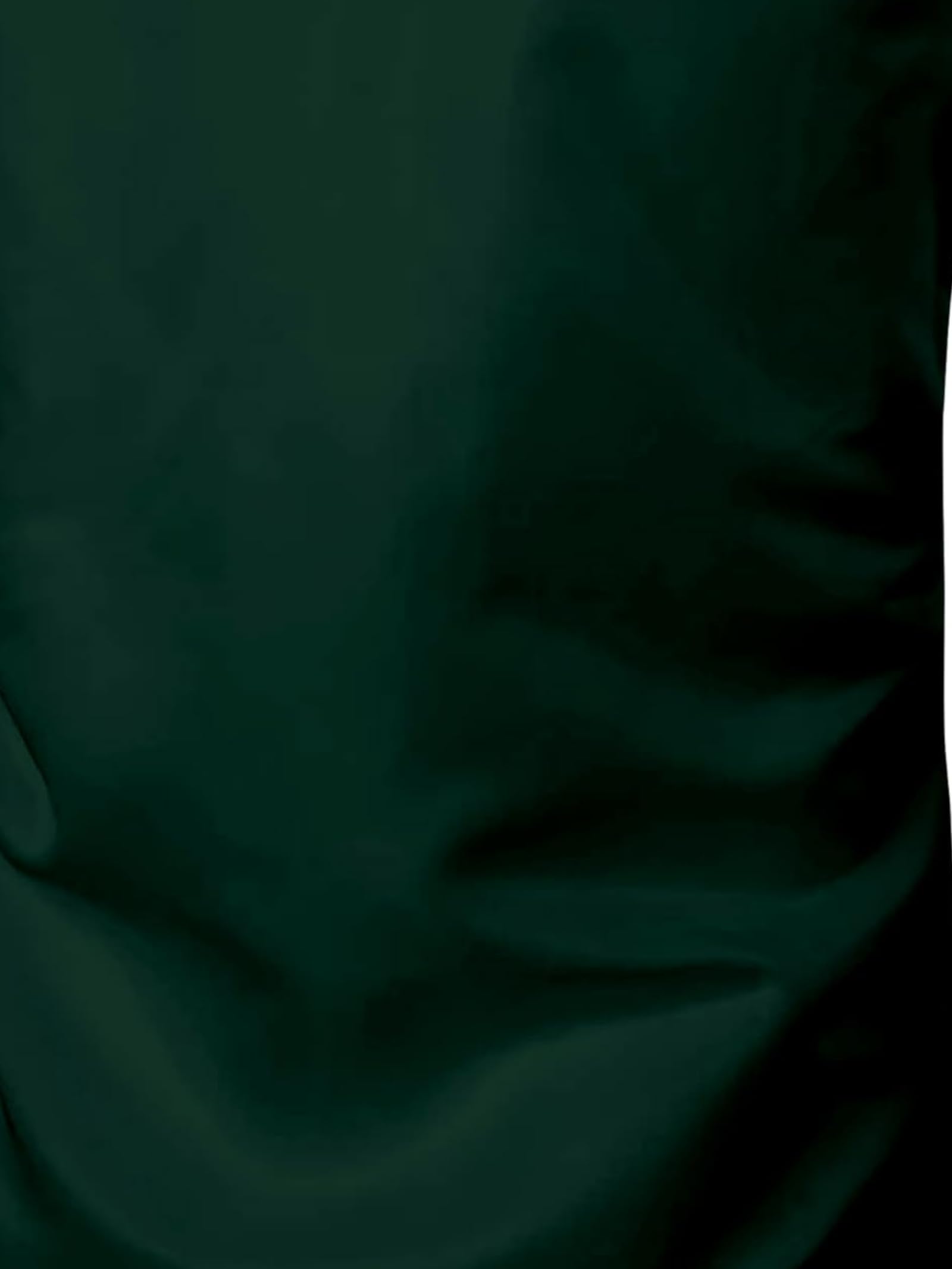 BABIRUSA Men's Cotton Blend Shirt with Solid Bottom Down Long Sleeve Spread Collared Neck Regular Fit and Standard Length | Shirt for Man | MINTGREEN-XL - Image 7 thumbnail