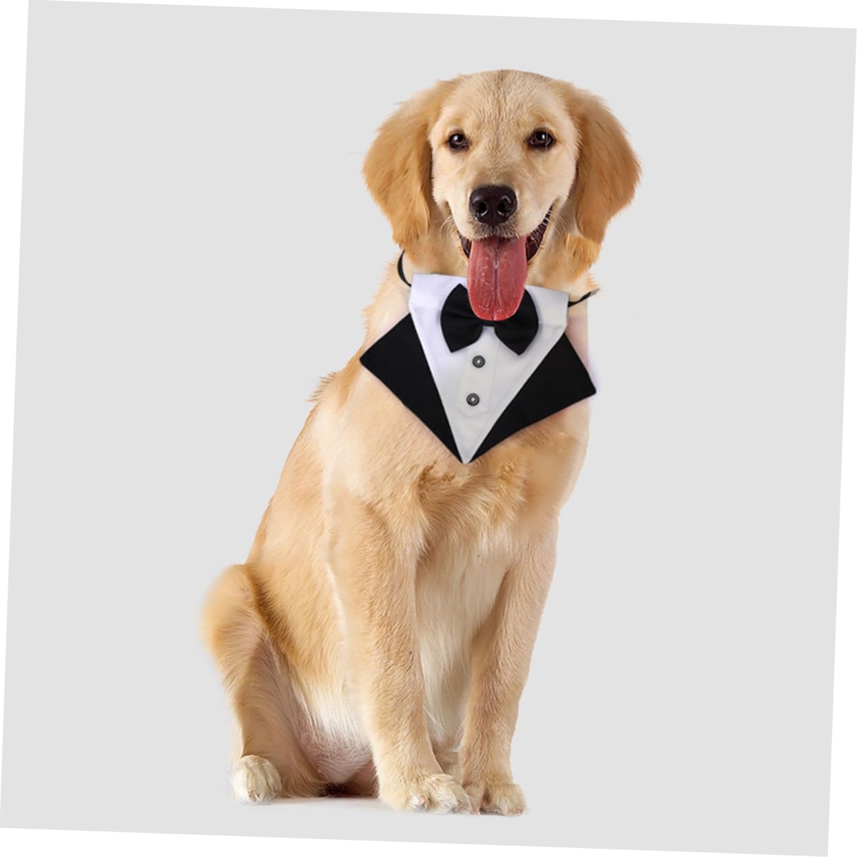 Toddmomy 3ensembles Bandana Triangulaire pour Chien avec Nœud Décoratif Écharpe De pour Animaux De Compagnie pour Sorties Photos