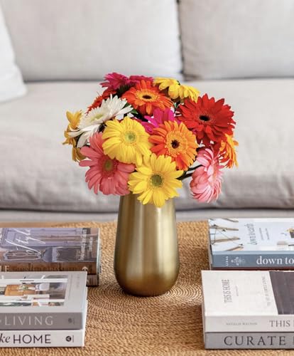 Bloomsybox 15 Stems Multicolored Gerbera Daisy Bouquet, Long Lasting, Hand-Tied, Farm Fresh Flowers Bouquet thumb #2