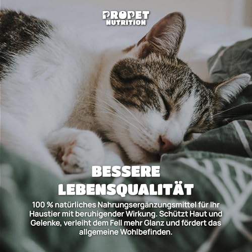 Hanföl für Hunde & Katzen. (700 Tropfen) Kaltgepresstes, reines Hanfsamenöl mit Omega 3, 6 & 9 - Zur Entspannung und für Gelenke - Hanfsamenöl für Tiere