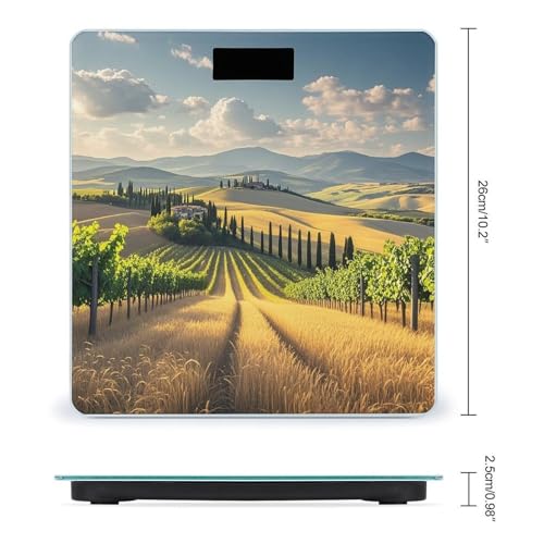 Báscula digital de baño con vidrio templado y pantalla LCD miniatura 2