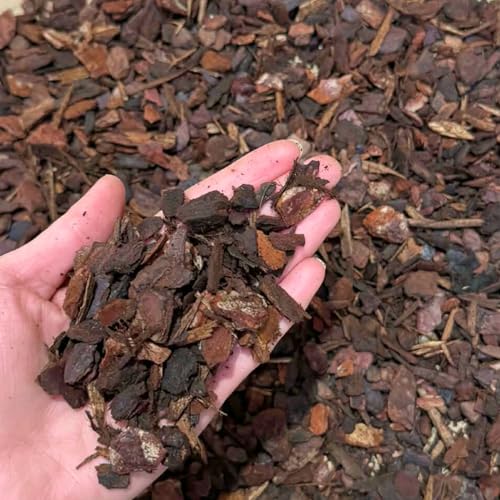 Orchid Bark - Natural Bark Chips for Reptiles Vivariums Terrariums & Orchid Potting (1L)