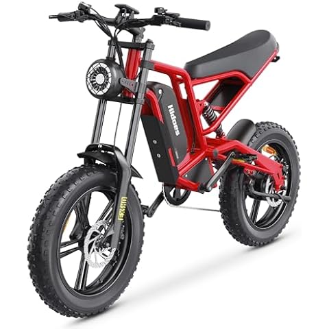 Hidoes Electric Bike Real 1000W (Peak) 20 * 4" Fat Tire 31.8KM/H 40-80KMMoped, 15.6Ah Beach Hill Mountain Winter Snow Electric Bicycle, 8-Layer Suspension Dual Disc Brakes for Adults Teens Cover