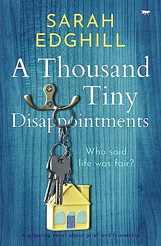A Thousand Tiny Disappointments view 2