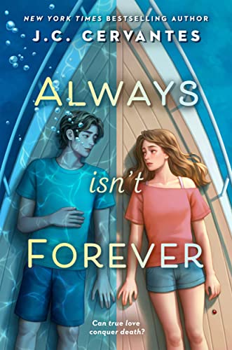 Always Isn't Forever view 2