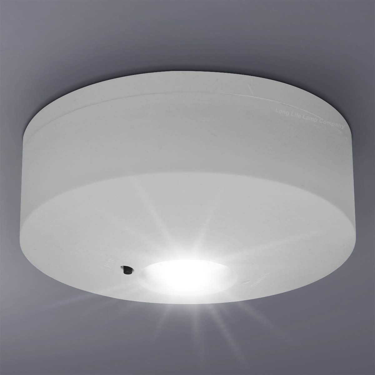 CRESSIDA - IP Rated Surface Mounted Non-Maintained Emergency Downlight