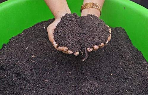 leaf mould compost for plants 1.9kg (B08WHYZMFS) Amazon Price History, Amazon Price Tracker