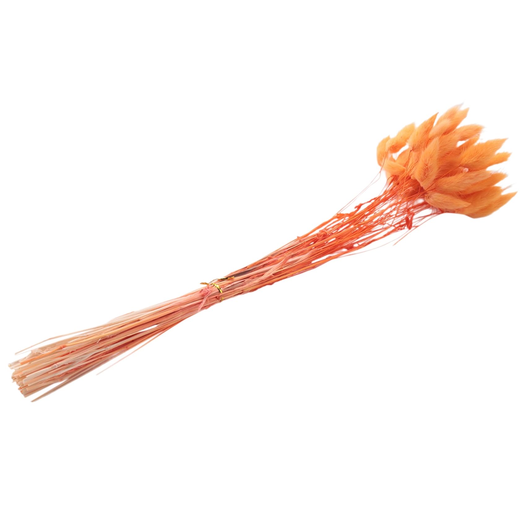 Hundnsney Orange 60Pcs Fall Dried Flowers Bunny Dried Flowers Lagurus Ovatus Tail Grass For Dried Floral(Orange)