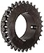Martin Roller Chain Sprocket, Taper Bushed, Type B Hub, Double Strand, 10B Chain Size, For 2517 Bushing, 15.88mm Pitch, 30 Teeth, 63.5mm Max Bore Dia., 160.57mm OD, 107.95mm Hub Dia., 25.55mm Width