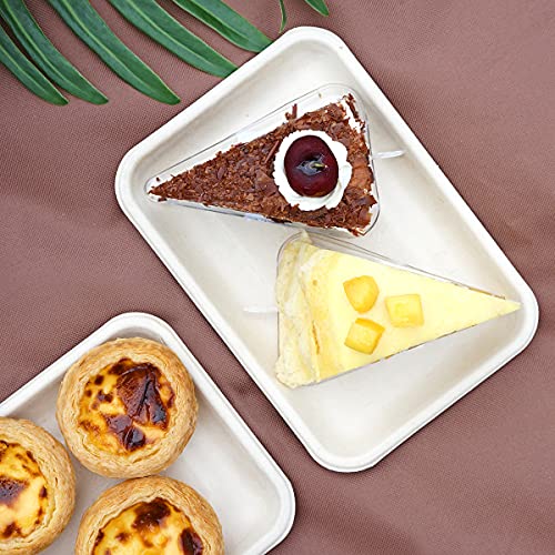 Celel 100 Pack 8 Inch Heavy Duty Compostable Paper Plates, Bend-Resist Medium Disposable Food Trays For Taco, Meat, Sandwich, Dessert #TOP7