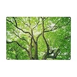 Photo Gallery wxwjshmgc targa in metallo con stampa di albero di canfora verde, divertente targa in metallo, decorazione da appendere alla parete, 30,5 x 20,3 cm Photo Gallery wxwjshmgc targa in metallo con stampa di albero di canfora verde, divertente targa in metallo, decorazione da appendere alla parete, 30,5 x 20,3 cm