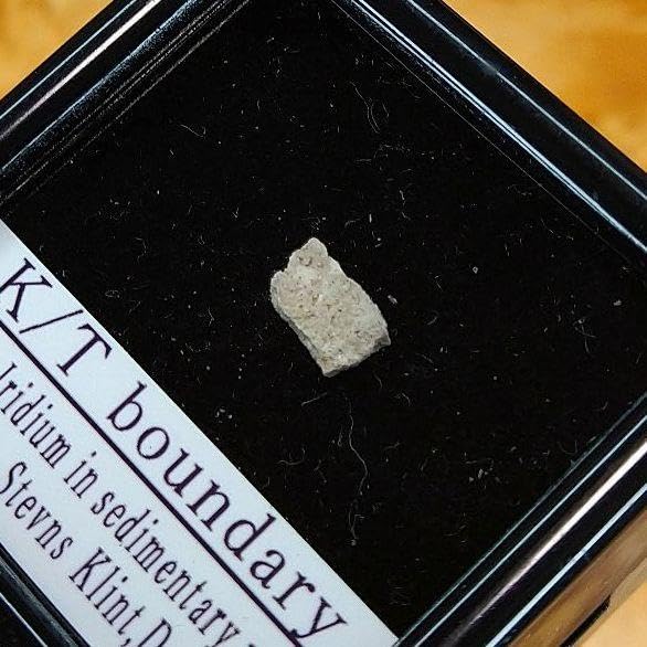 恐竜絶滅！小惑星のかけら K-T境界層 標本 【公式通販】