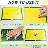 Zoom IMG-2 trappole scarafaggi trappola per colla Zoom IMG-2 trappole scarafaggi trappola per colla