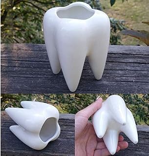 Cute Tooth Shaped Ceramic Succulent Cactus Vase Flower Pot (Plants Not Included)
