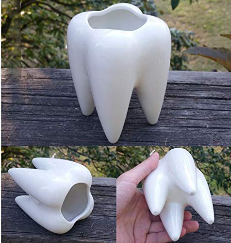 Cute Tooth Shaped Ceramic Succulent Cactus Vase Flower Pot (Plants Not Included)