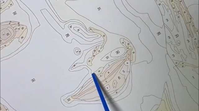 Dipingere con i numeri, kit di pittura a olio fai da te con numeri, kit di